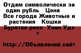 Отдам символически за один рубль › Цена ­ 1 - Все города Животные и растения » Кошки   . Бурятия респ.,Улан-Удэ г.